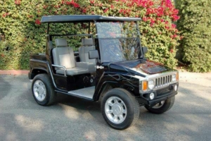 affordable golf cart rental, golf cart rent grand rapids